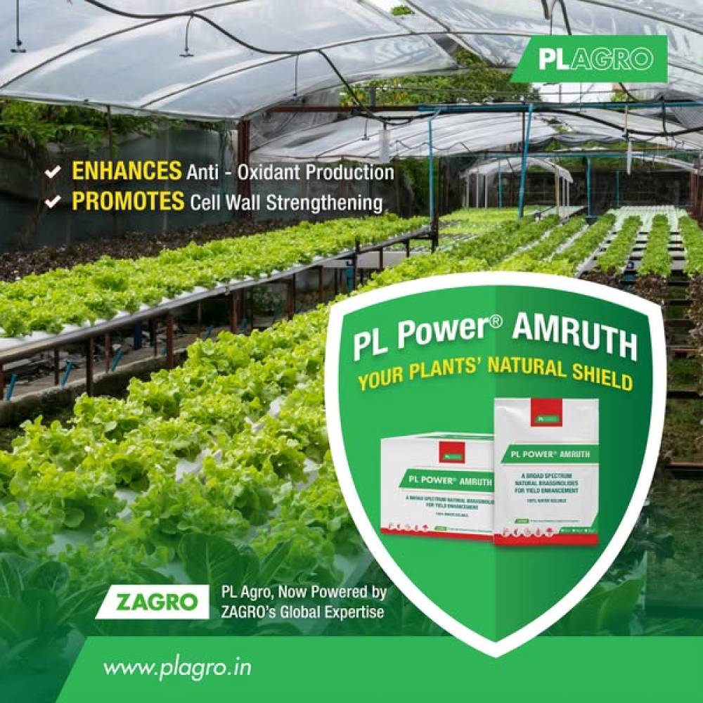 Boost Your Plant’s Natural Defense System!